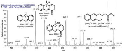 Biocontrol of Bacterial <mark class="highlighted">Leaf Blight</mark> of Rice and Profiling of Secondary Metabolites Produced by Rhizospheric Pseudomonas aeruginosa BRp3